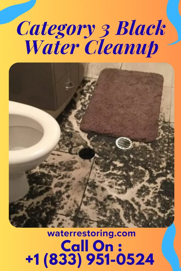 Category 3 Black Water Cleanup in Benton, KS