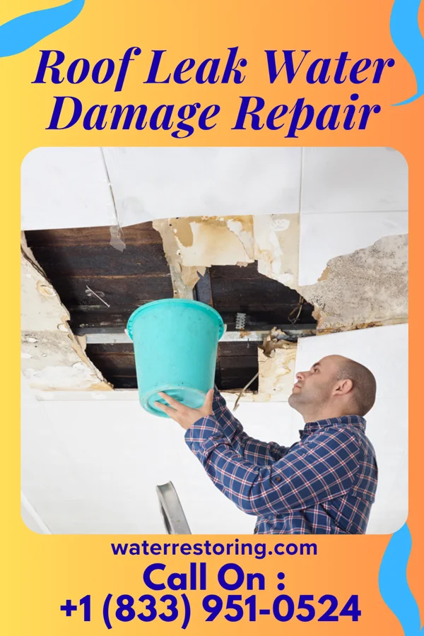 Roof Leak Water Damage Repair in Benton, KS